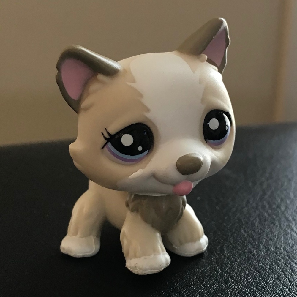 Littlest Pet Shop collectible #1817